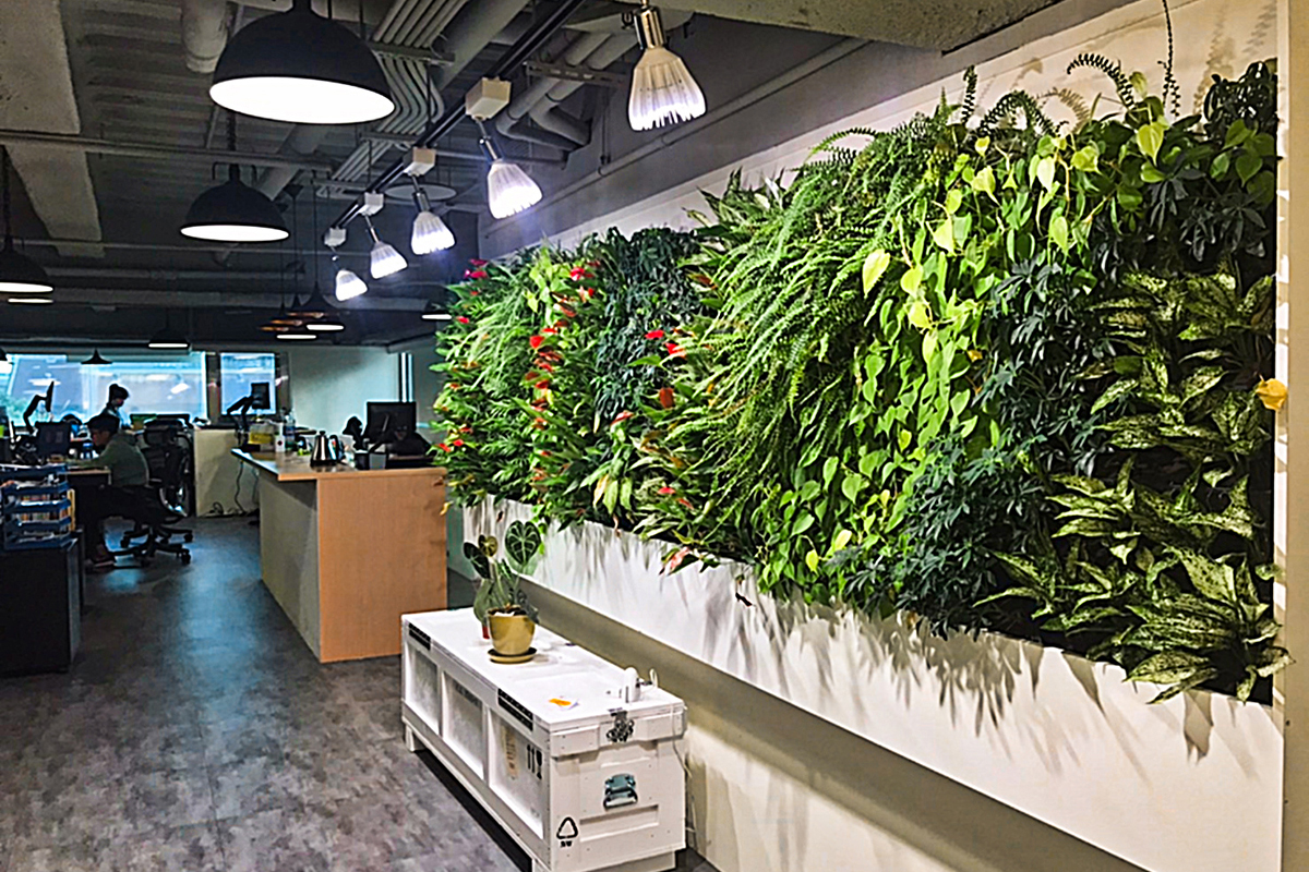 Green Office